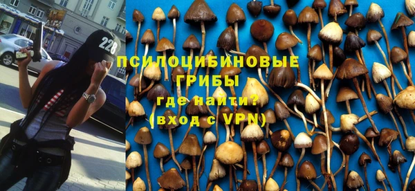 прущие крисы Мегион