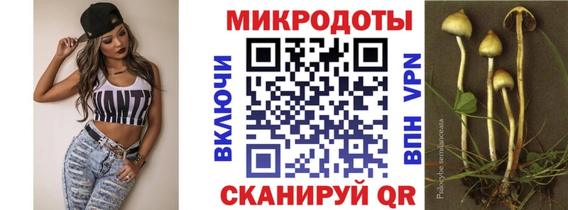Галлюциногенные грибы мицелий  магазин продажи наркотиков  Норильск 